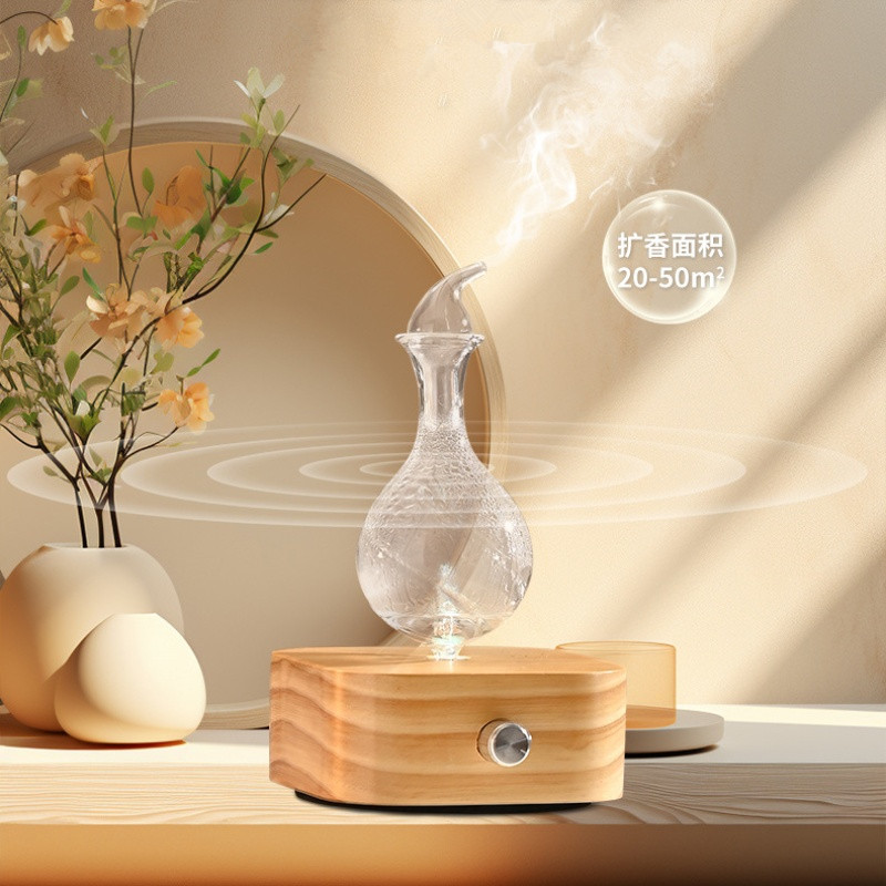 Waterless Aroma Essential Oil  - Home Fragrance Electric Diffuser recensione e prezzo