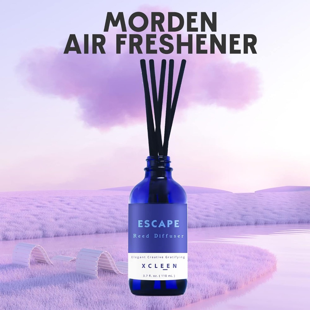 Reed Diffuser Set 3.7oz, 6 Sti - In Home Fragrance Products recensione e prezzo