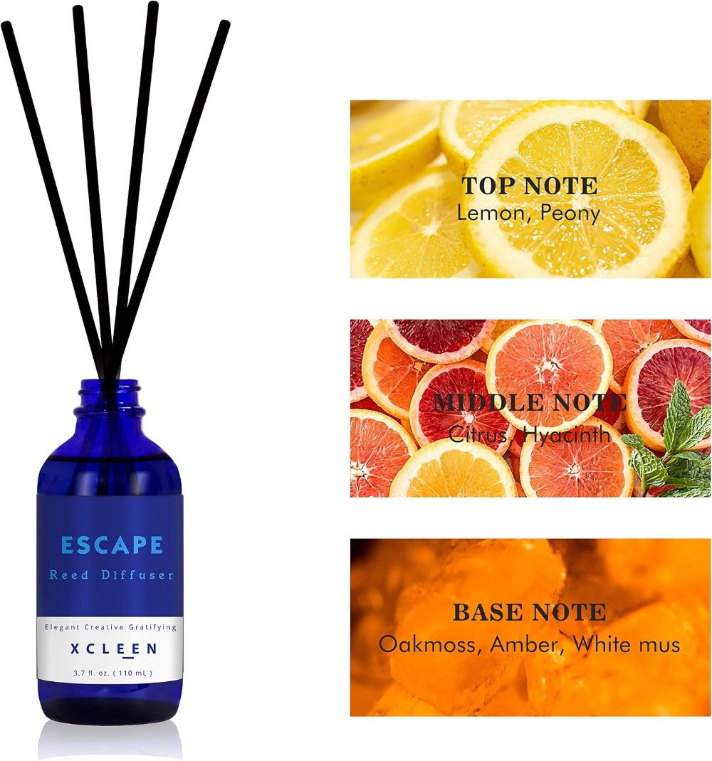 Reed Diffuser Set 3.7oz, 6 Sti - In Home Fragrance Products recensione e prezzo