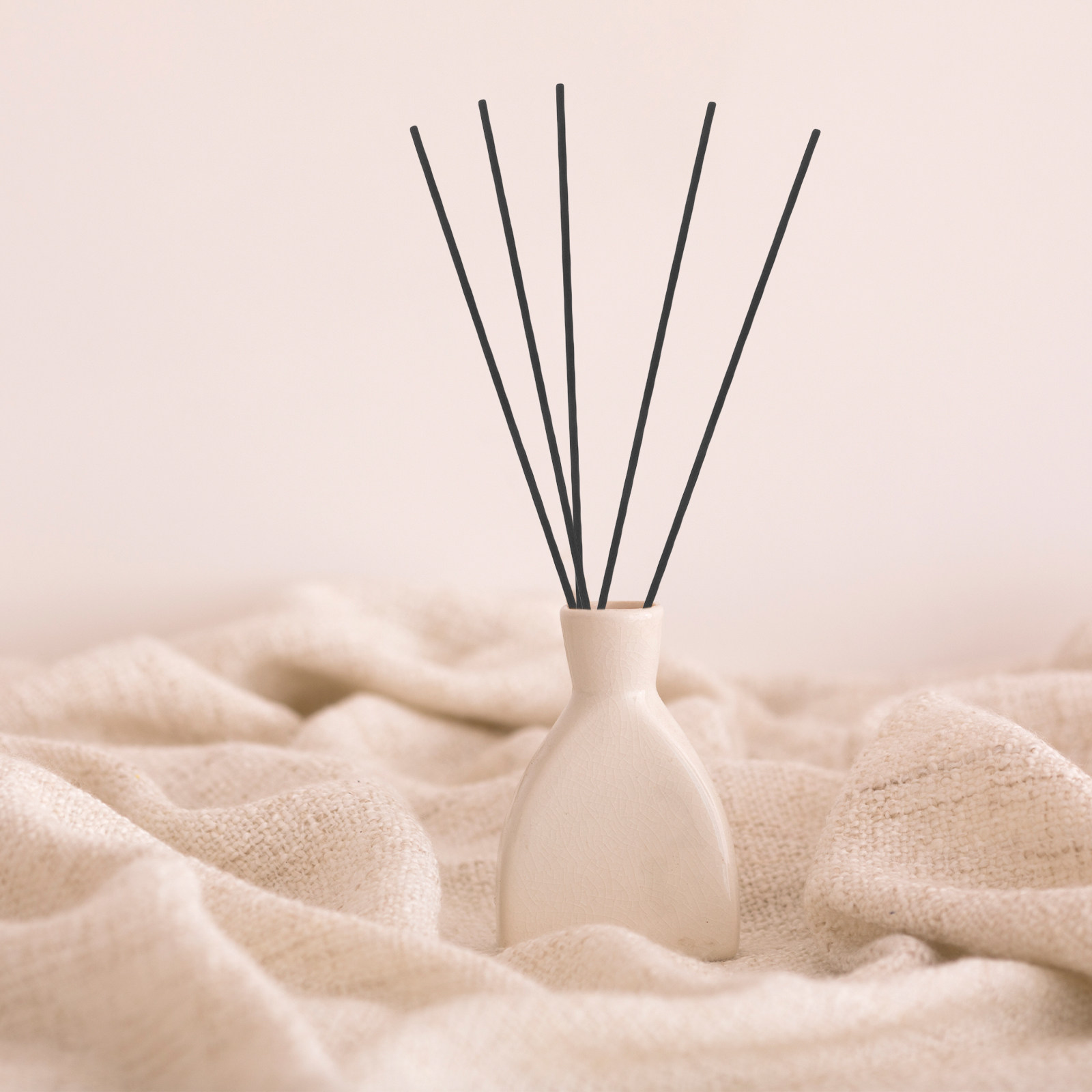 100Pcs Black Fiber Reed Diffus - Home Fragrance Reed Diffuser recensione e prezzo