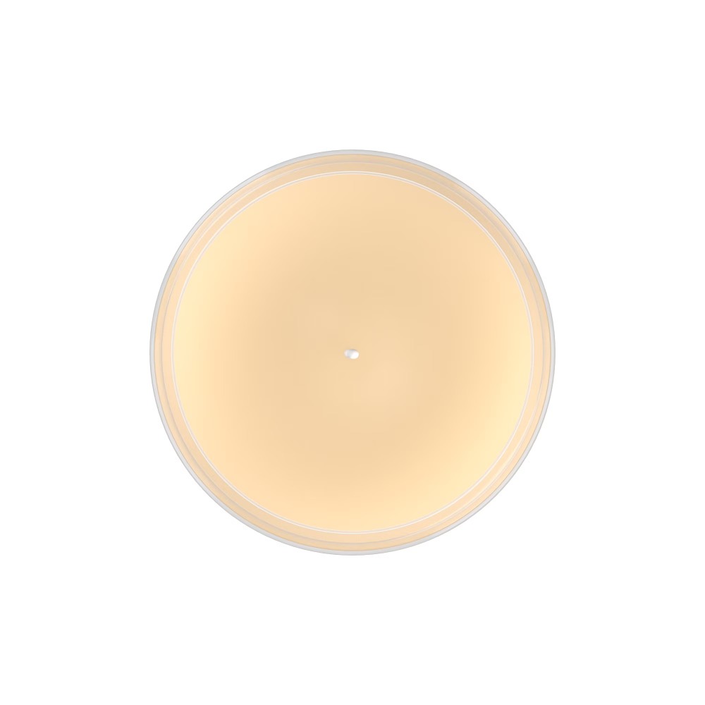 Frosted Spice Cupcakes Scented - Home Fragrance Vanilla Scented Candle recensione e prezzo