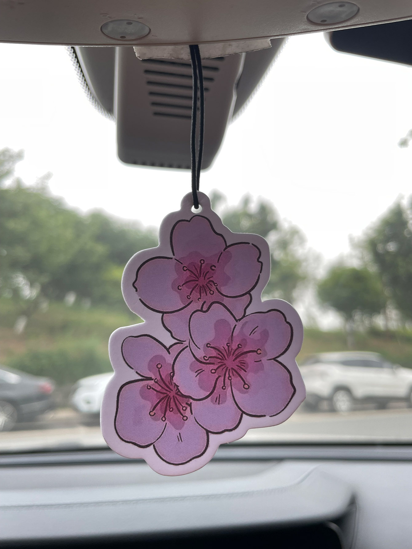 Sakura/Freesia Fresh Scent Fiv - Home Fragrance Logo recensione e prezzo