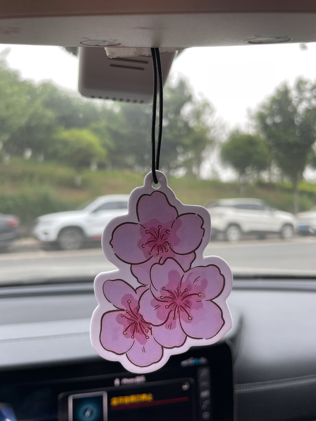Sakura/Freesia Fresh Scent Fiv - Home Fragrance Logo recensione e prezzo