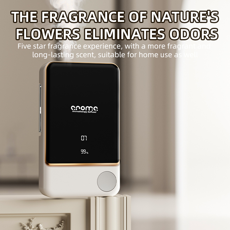 Aromatherapy diffuser fragranc - Home Fragrance Mist recensione e prezzo