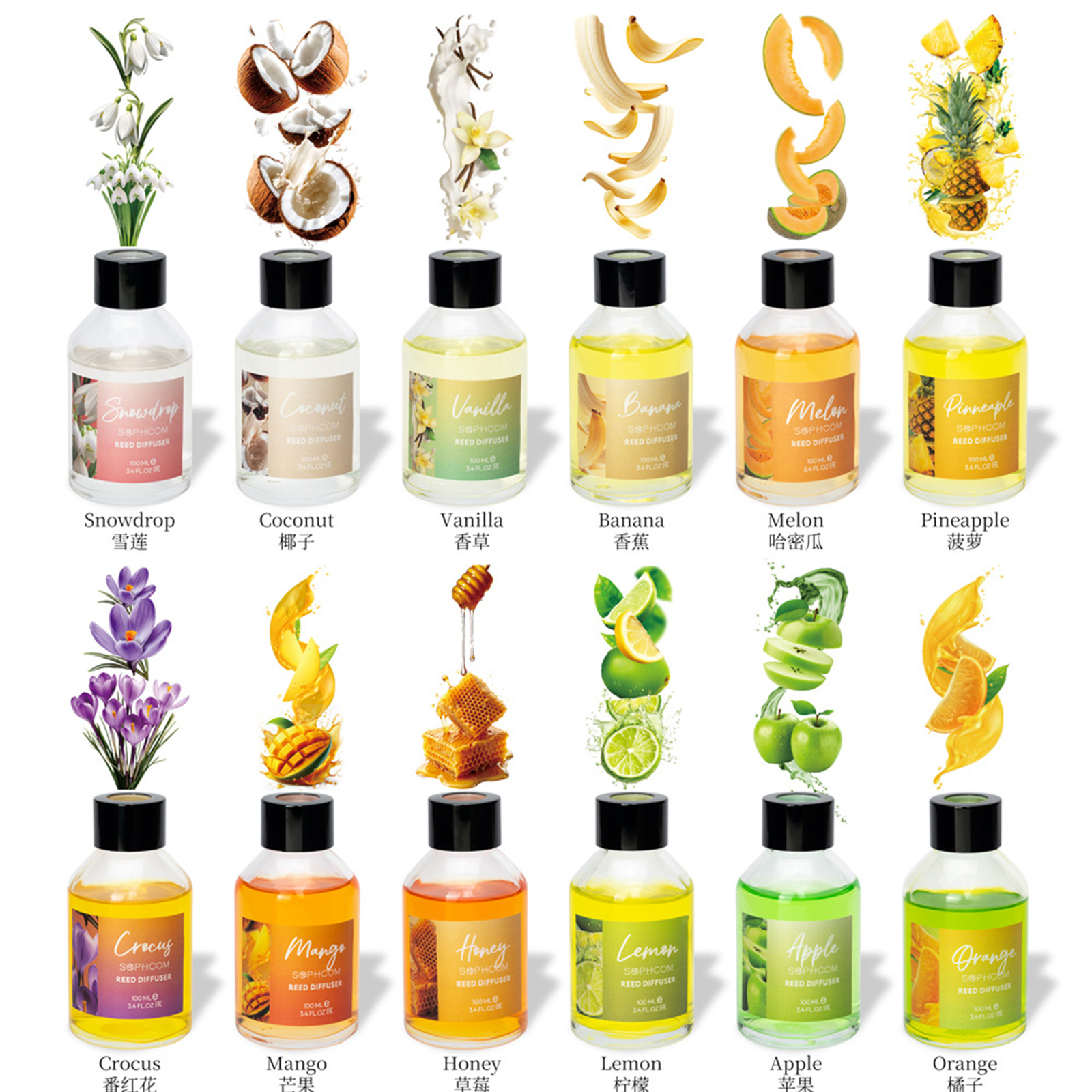 100ml Floral Fruity Reed Diffu - Home Fragrance Reed Diffuser recensione e prezzo